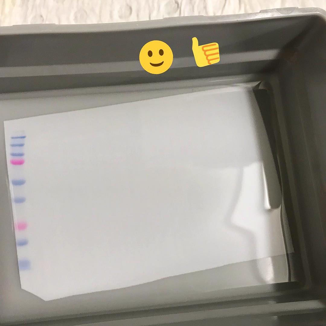 unr毕业证成绩单模板|《unr成绩单制作》|