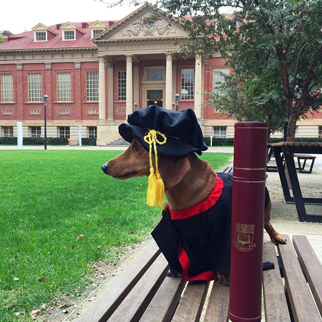 《奥克兰理工大学毕业证购买流程》|新西兰aut diploma模板|
