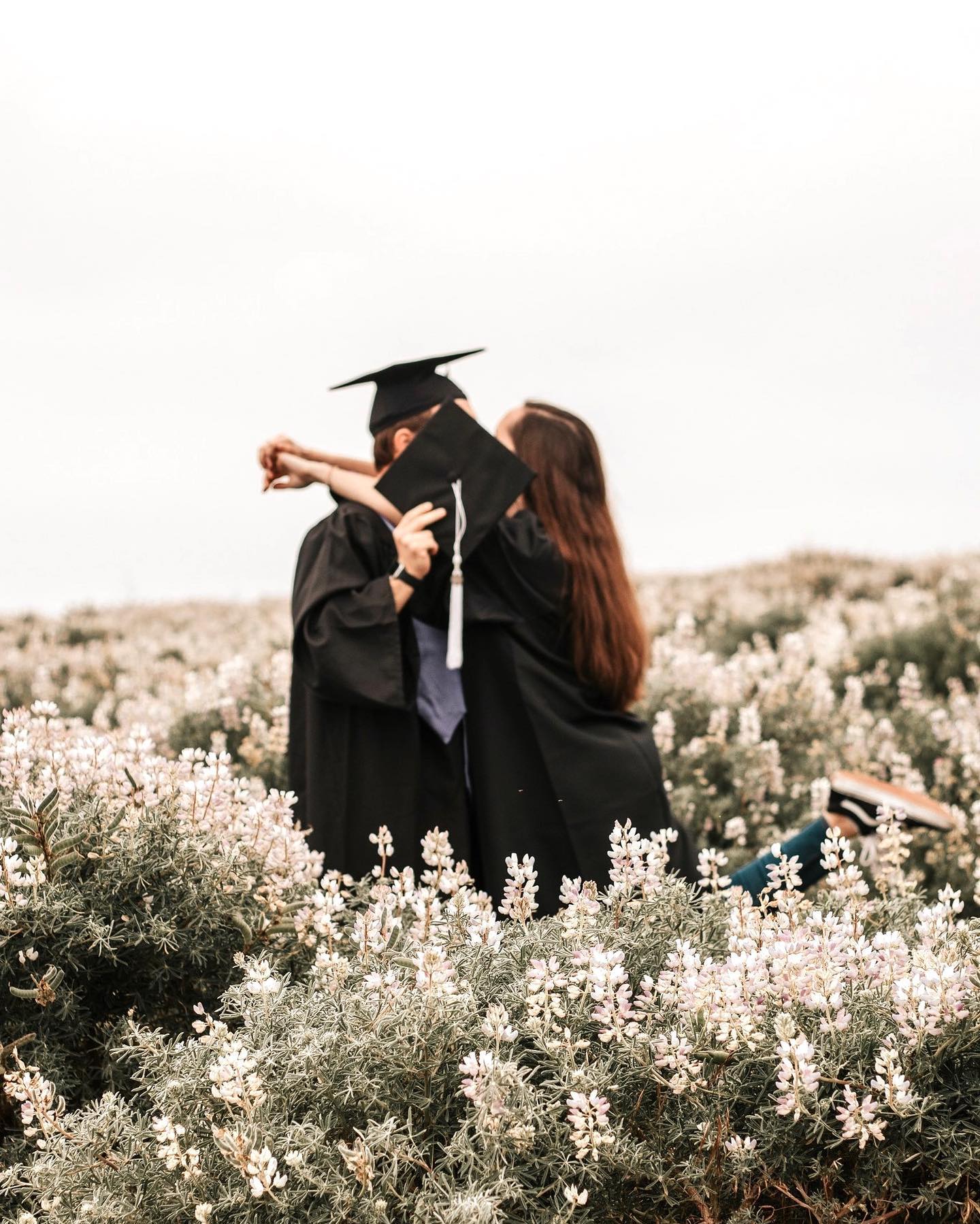办理圣玛丽大学毕业证书要多久|加拿大smu diploma模板|